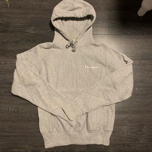 Grey Champion Sweatshirt
